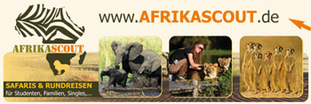 africascout südafrika reisen