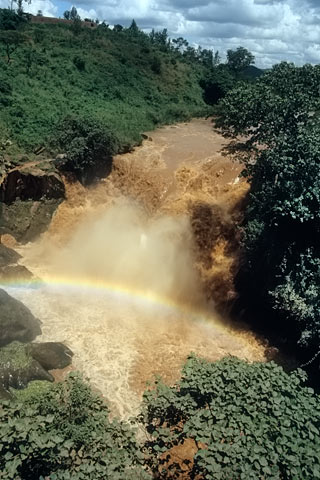 https://www.transafrika.org/media/ruanda/wasserfall-regenwald.jpg
